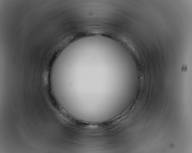 X0000101400406200807071034