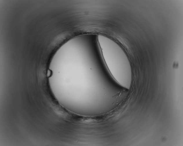 X0000101400407200807071034