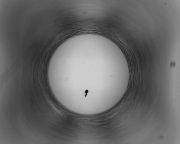 X0000101400408200807071034