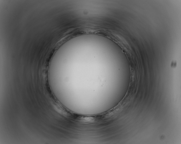 X0000101400409200807071034