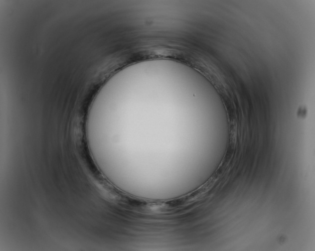 X0000101400410200807071034