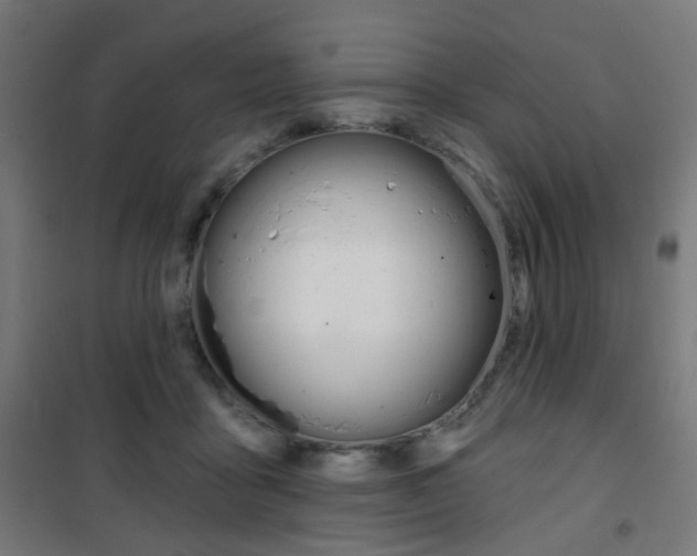 X0000101400411200807071034