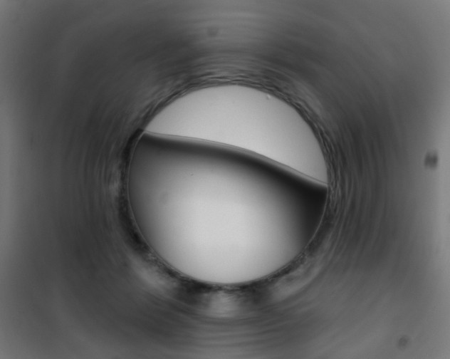 X0000101400412200807071034