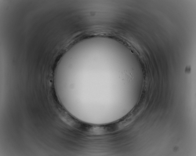 X0000101400413200807071034