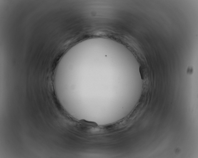 X0000101400415200807071034