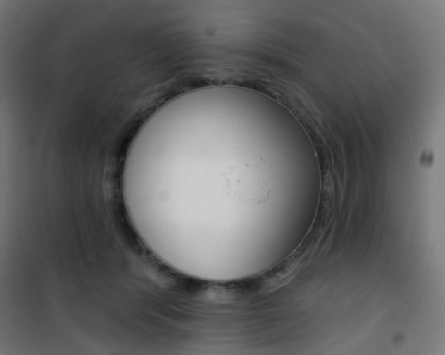 X0000101400416200807071034