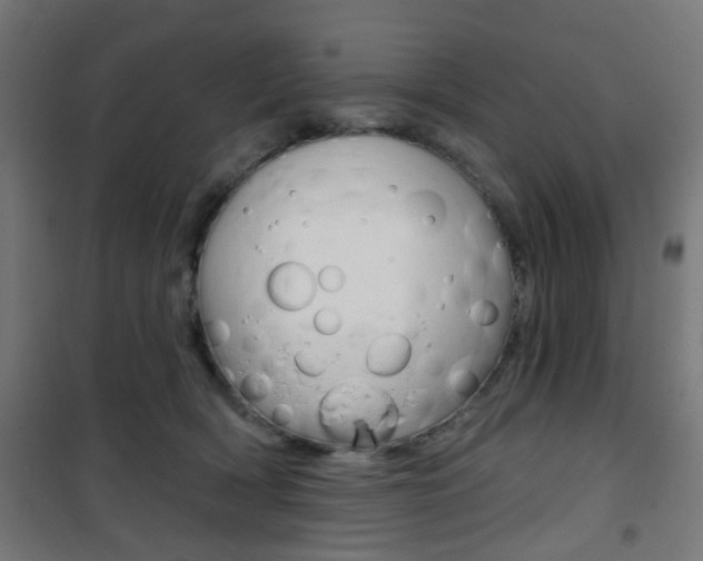 X0000101400418200807071034