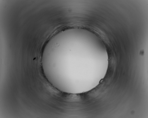 X0000101400421200807071034