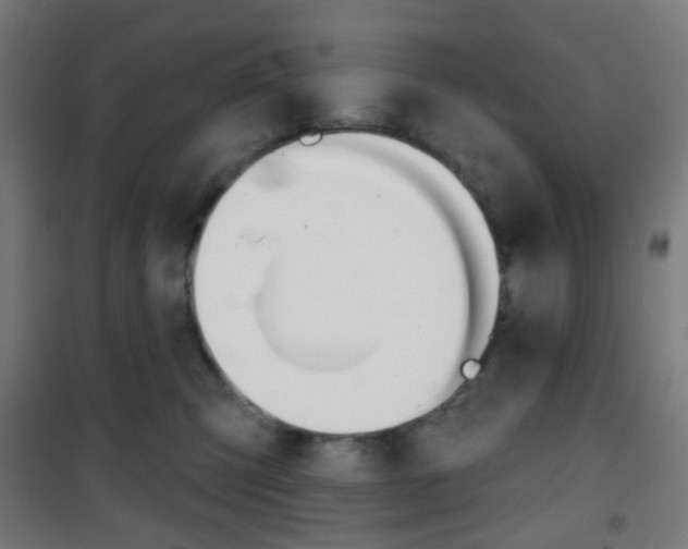 X0000101400423200807071034