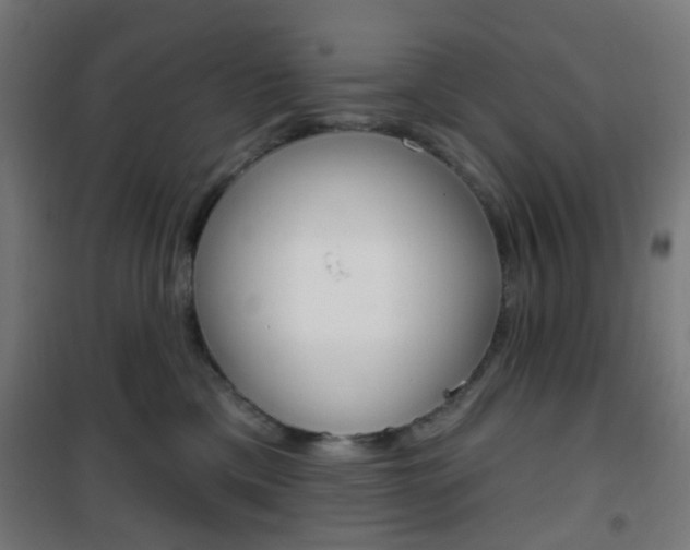 X0000101400425200807071034