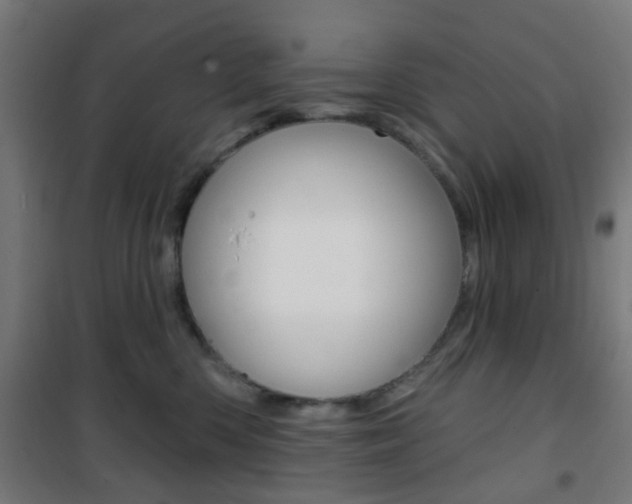 X0000101400426200807071034