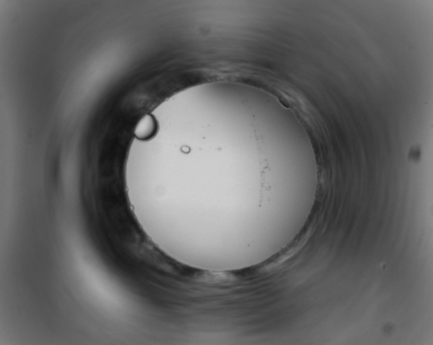 X0000101400429200807071034