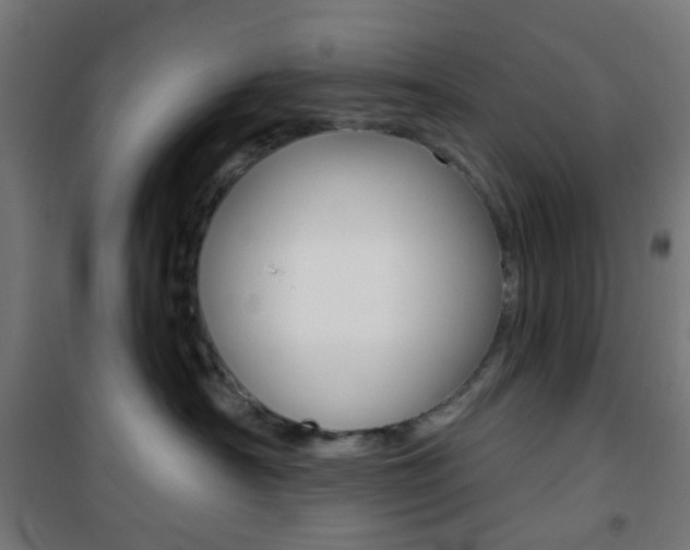 X0000101400430200807071034