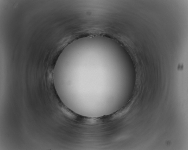 X0000101400432200807071034