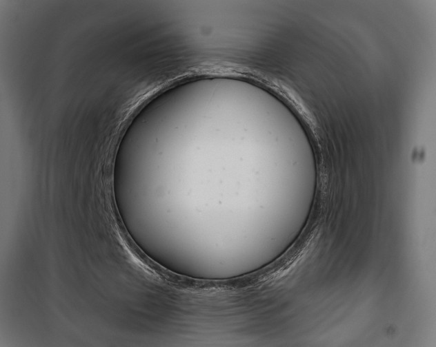 X0000101400433200807071033