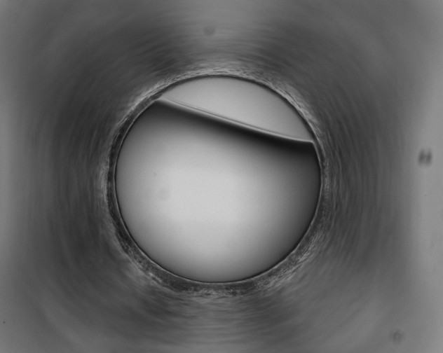 X0000101400434200807071033