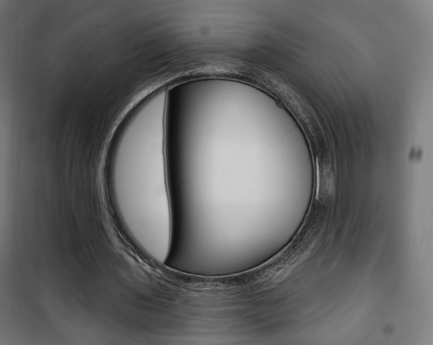 X0000101400435200807071033
