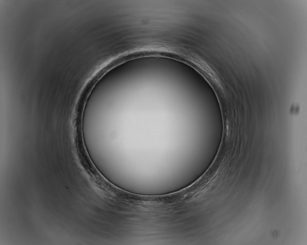 X0000101400436200807071033