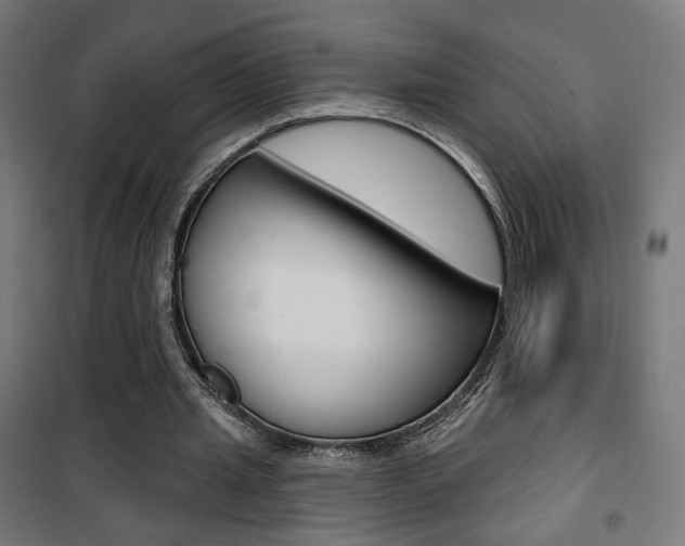 X0000101400437200807071033