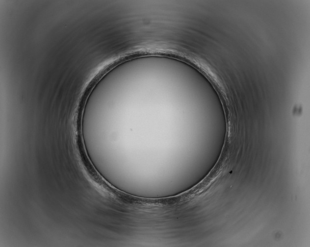 X0000101400438200807071033