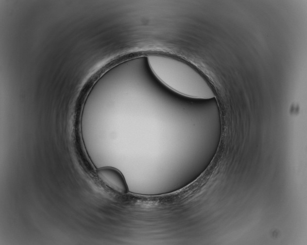X0000101400440200807071033