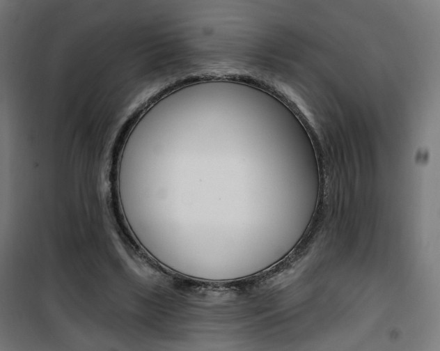 X0000101400443200807071033