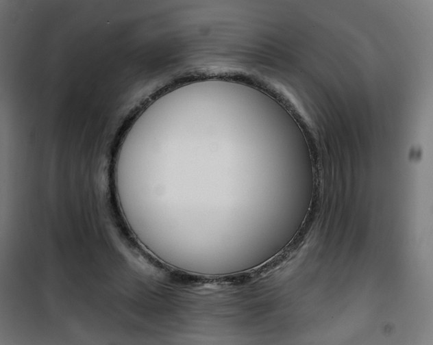 X0000101400447200807071033