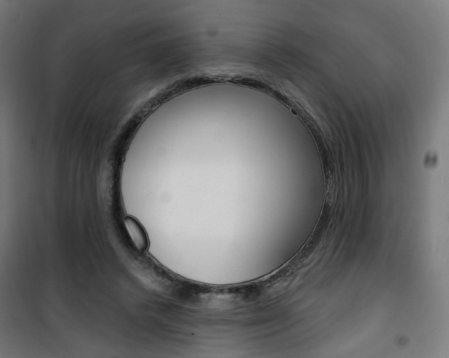 X0000101400448200807071033