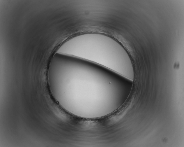 X0000101400449200807071033