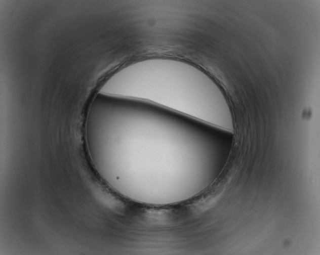 X0000101400450200807071033