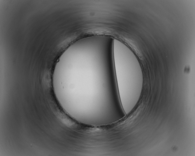 X0000101400453200807071034