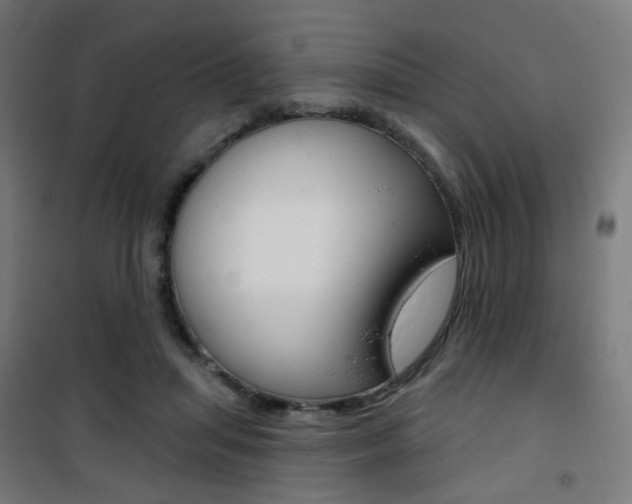 X0000101400455200807071034
