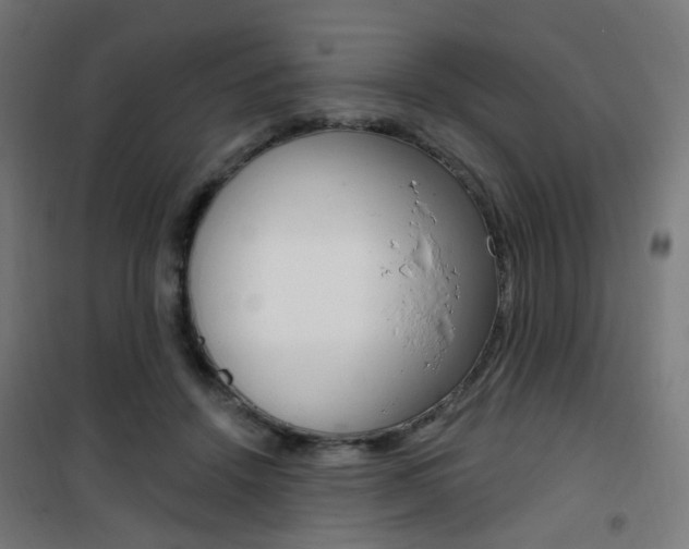 X0000101400456200807071034