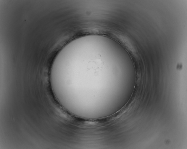 X0000101400457200807071034