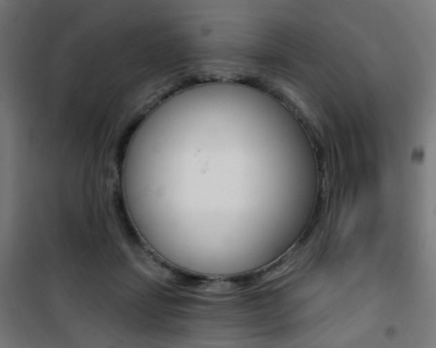 X0000101400459200807071034