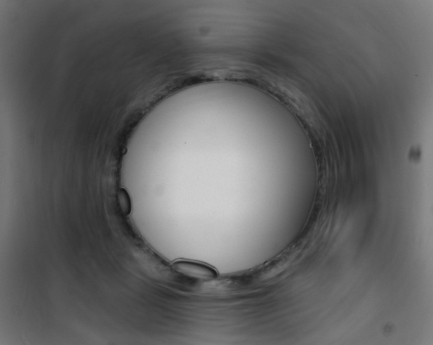 X0000101400461200807071034