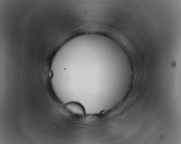 X0000101400463200807071034