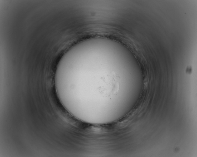 X0000101400464200807071034