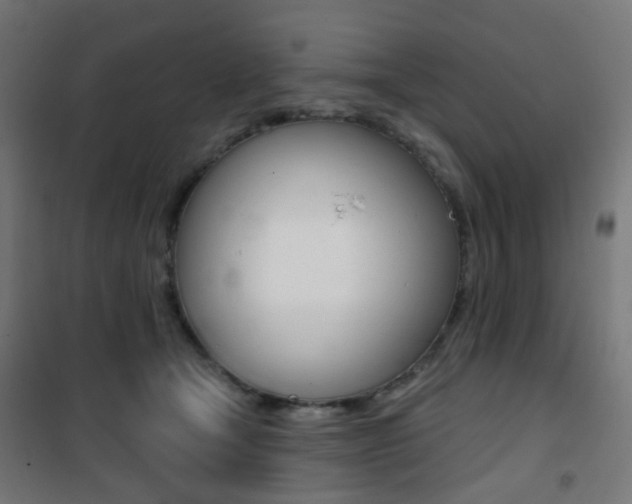 X0000101400465200807071034