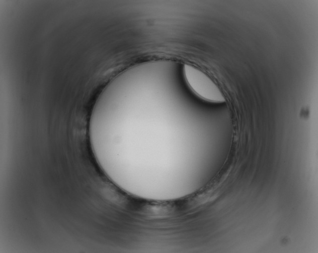 X0000101400466200807071034