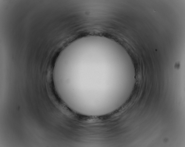 X0000101400468200807071034