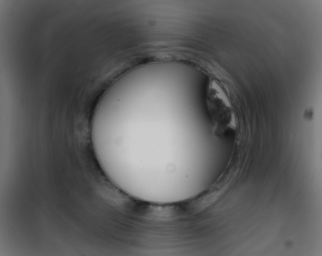 X0000101400469200807071034