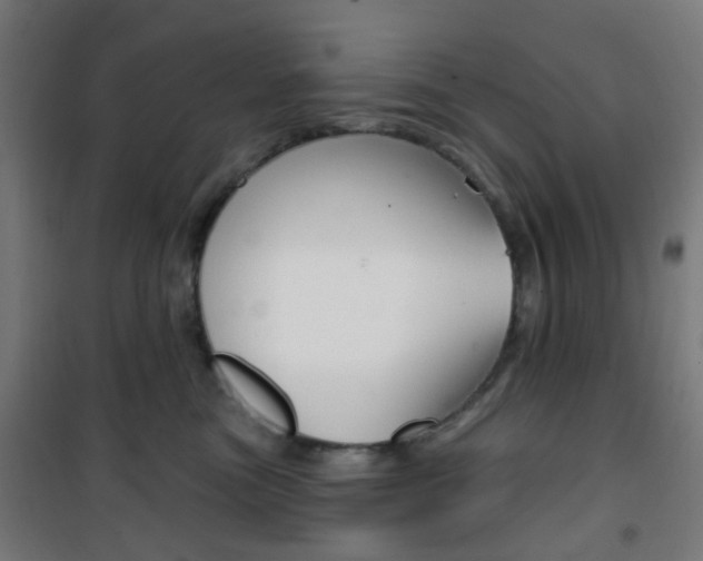 X0000101400473200807071034