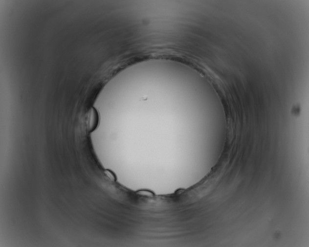 X0000101400475200807071034