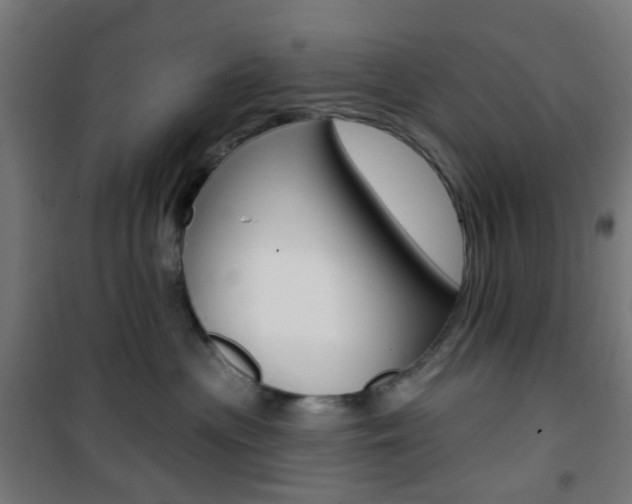 X0000101400477200807071034