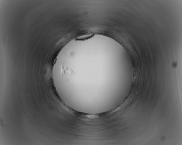 X0000101400478200807071034