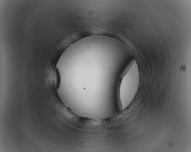 X0000101400479200807071034