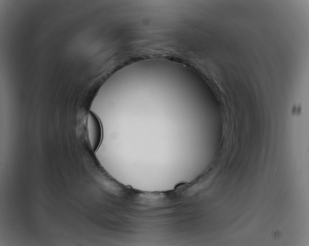 X0000101400480200807071034