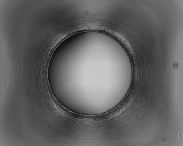 X0000101400481200807071033