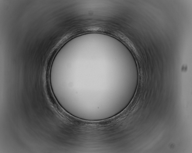 X0000101400482200807071033